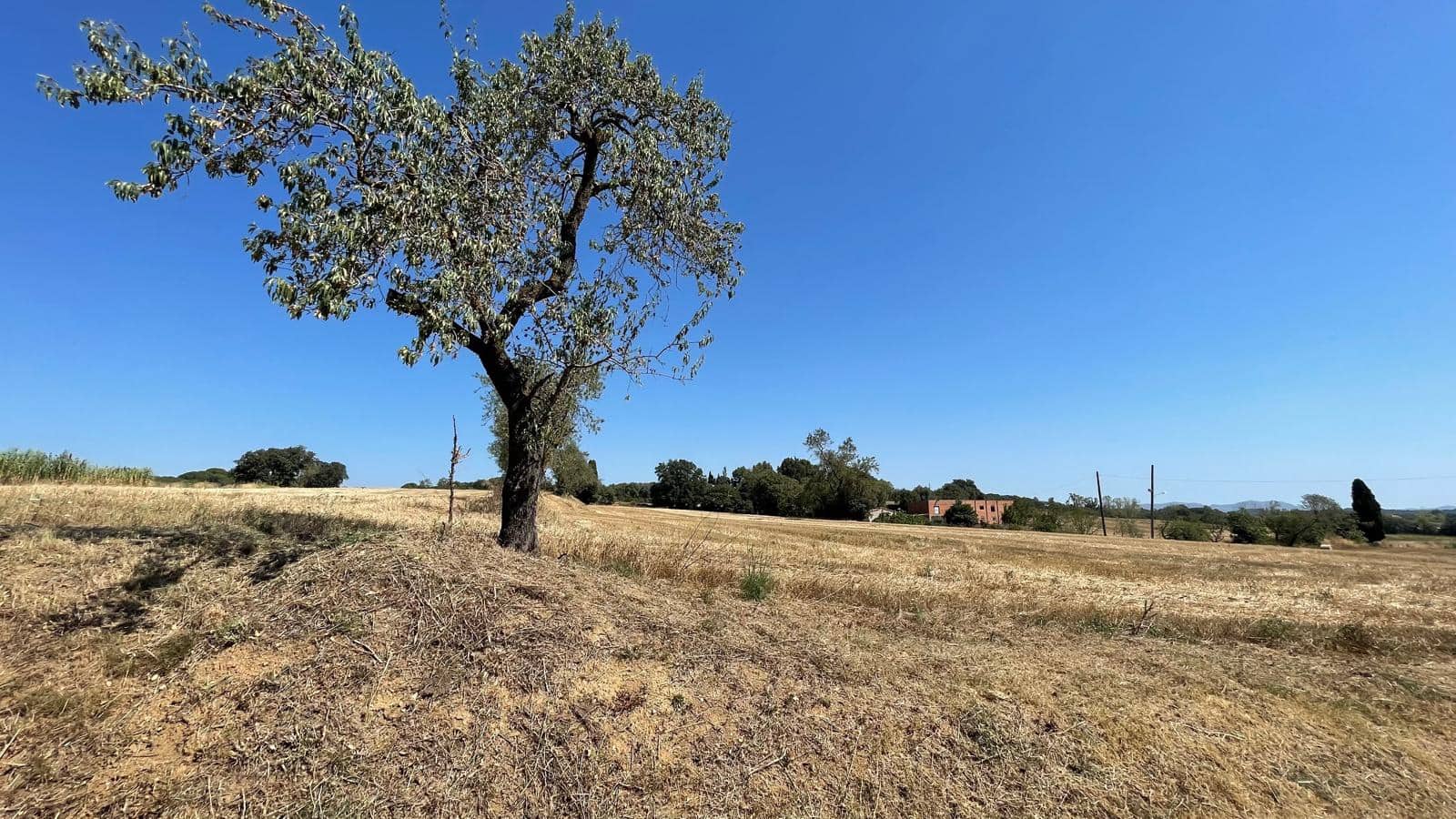 3 sovrum Finca/Hus på landet till salu i Cruilles Monells i Sant Sadurni de I'Heura med garage - 1 098 000 € (Ref: 9852210)