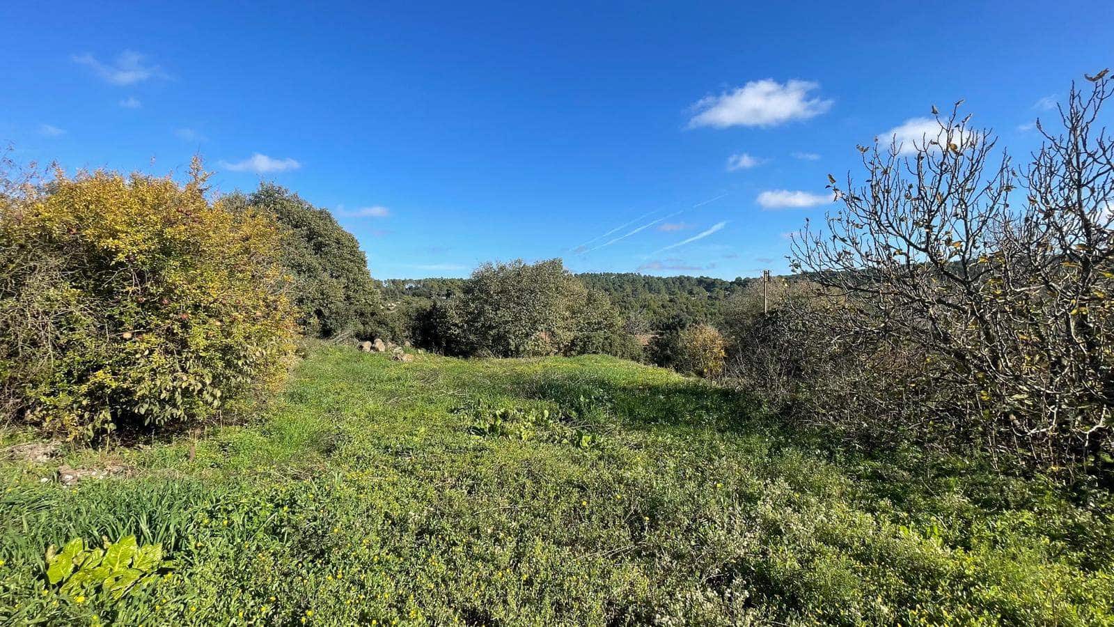 Byhus til salg i Camallera - € 565.000 (Ref: 9852223)