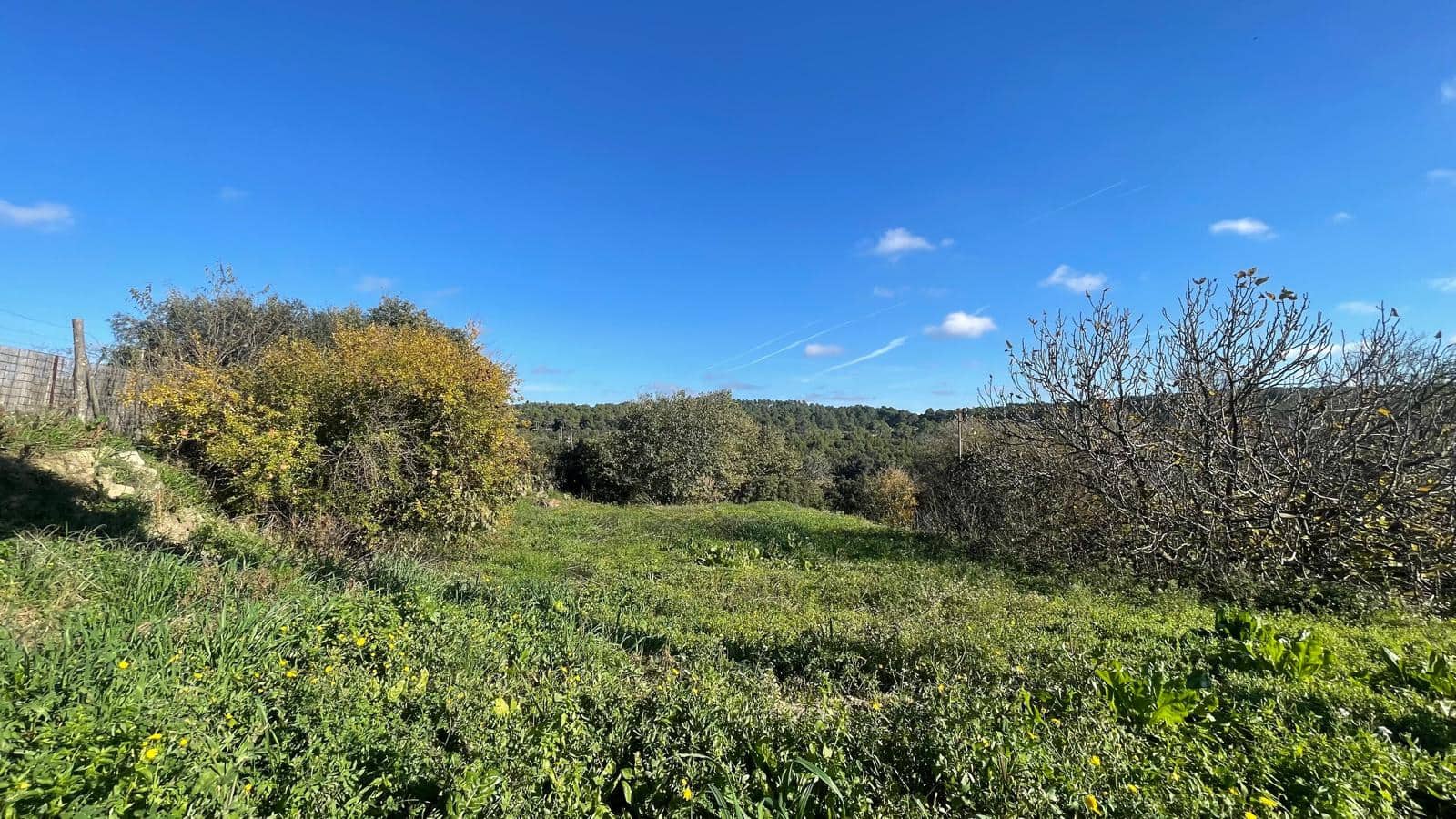Byhus til salg i Camallera - € 565.000 (Ref: 9852223)