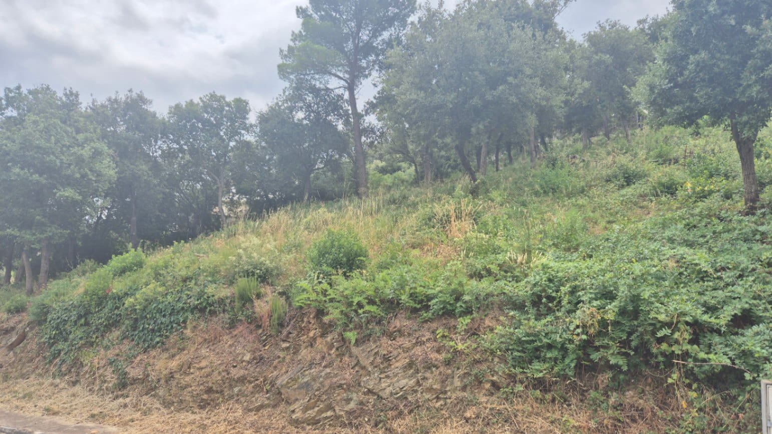 Area Edificabile in vendita in Begur - 350.000 € (Rif: 9852225)