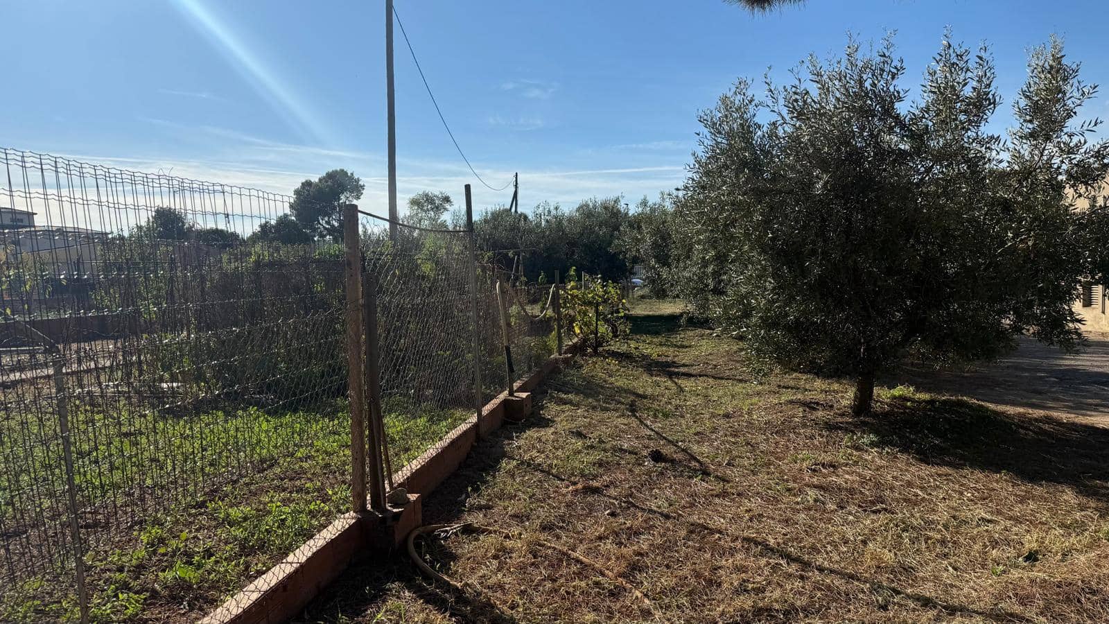 Solar/Parcela en Viladamat en venta - 950.000 € (Ref: 9852226)