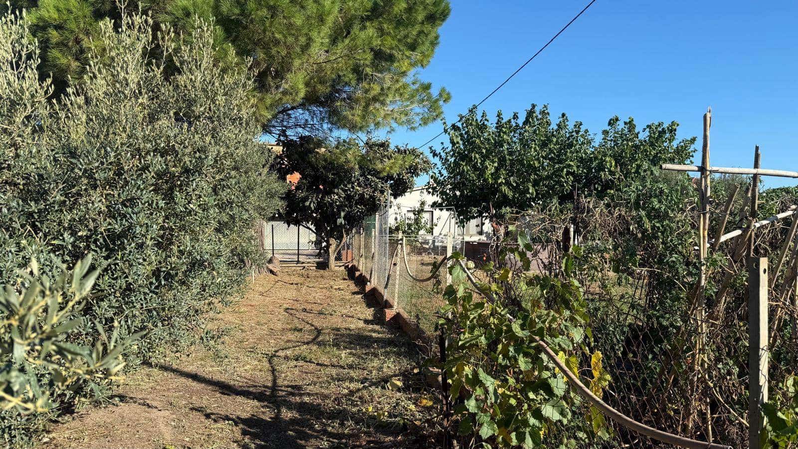 Solar/Parcela en Viladamat en venta - 950.000 € (Ref: 9852226)
