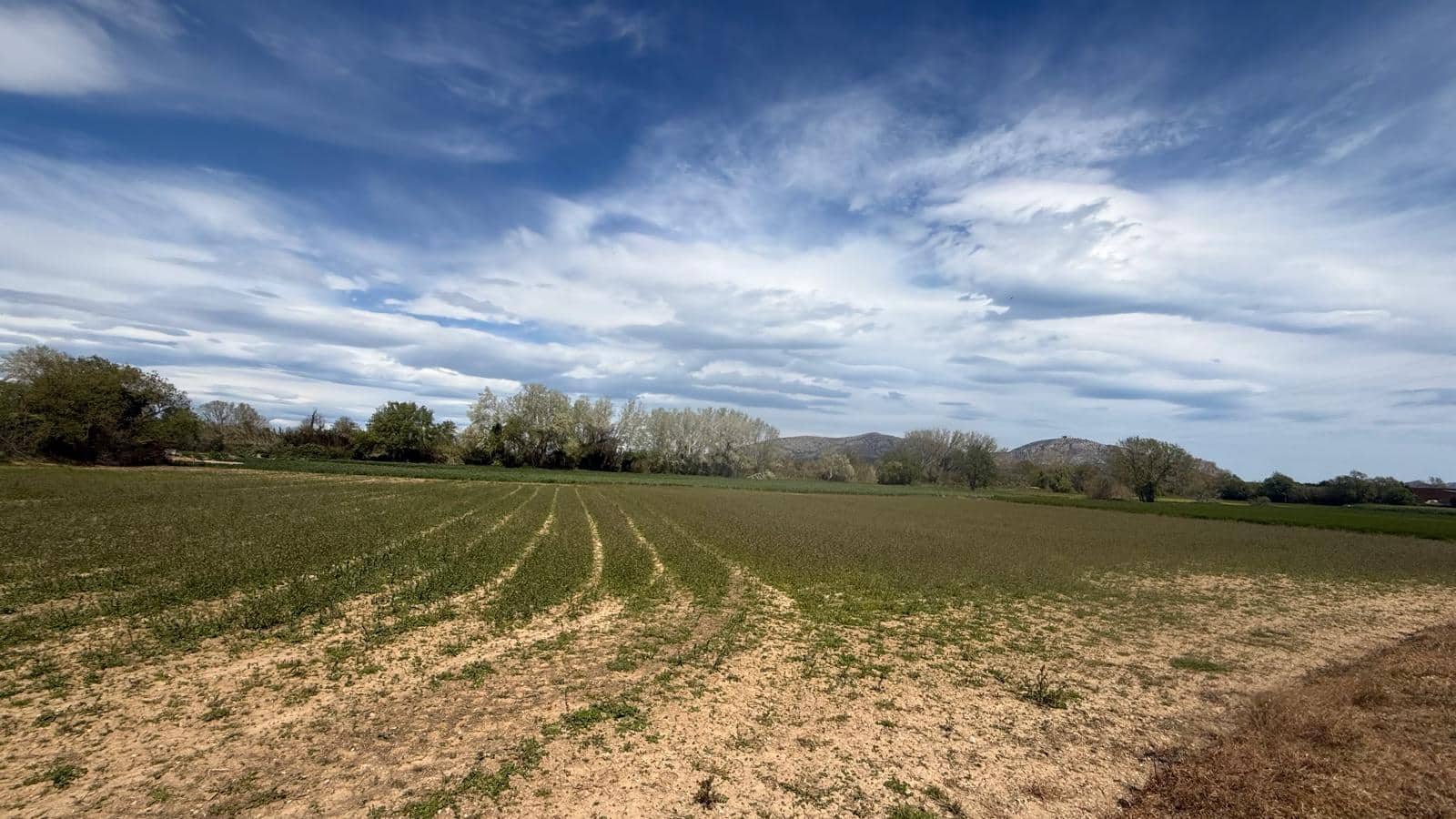 Finca/Landehus til salg i Forallac - € 358.000 (Ref: 9852230)