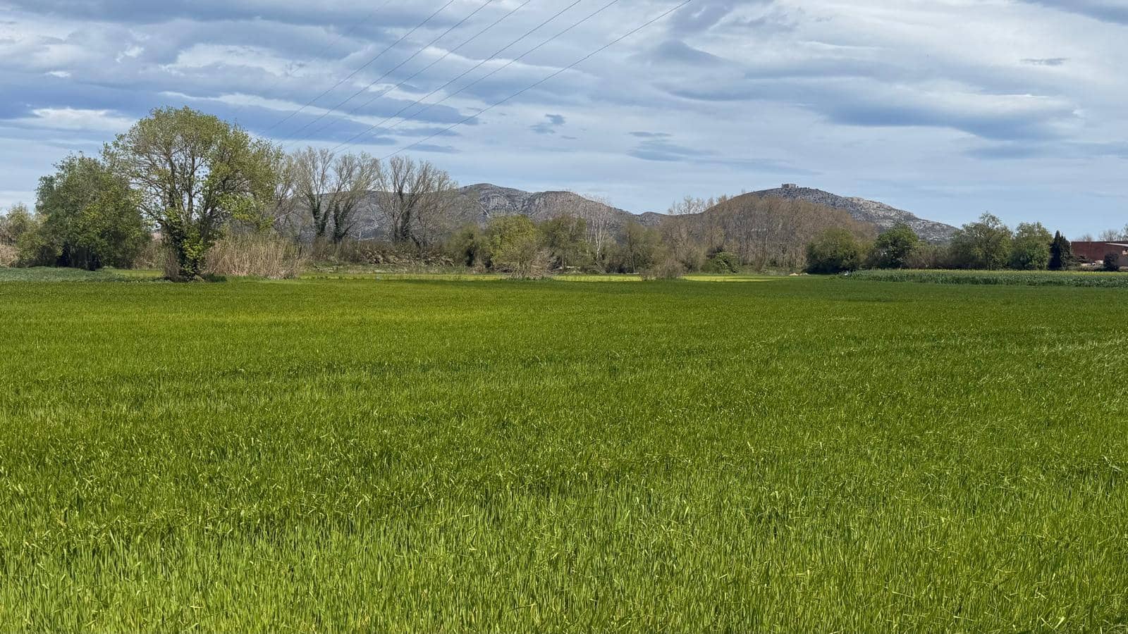 Finca/Landehus til salg i Forallac - € 358.000 (Ref: 9852230)