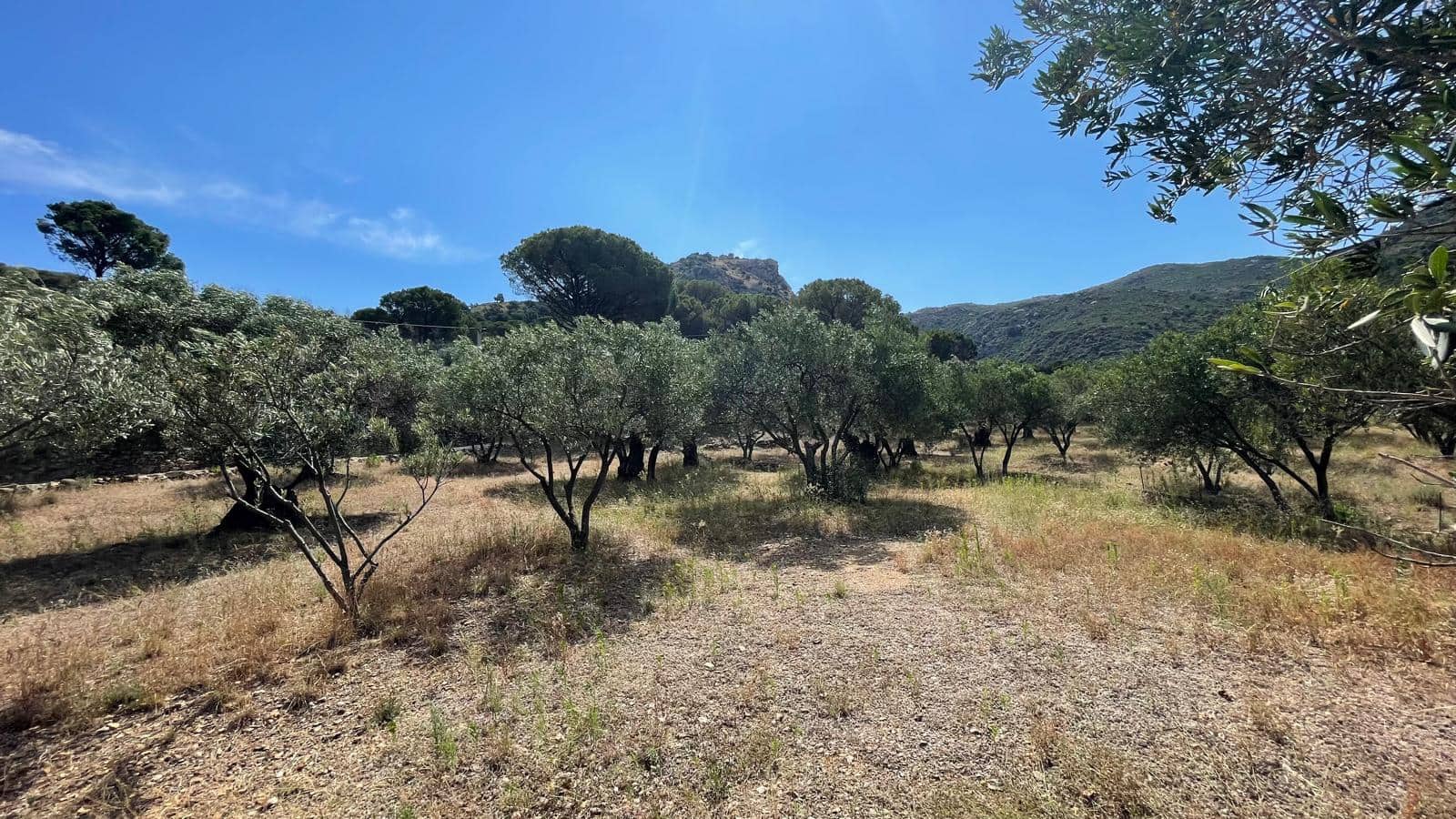 5 soveværelse Finca/Landehus til salg i Vilajuiga - € 595.000 (Ref: 9852233)