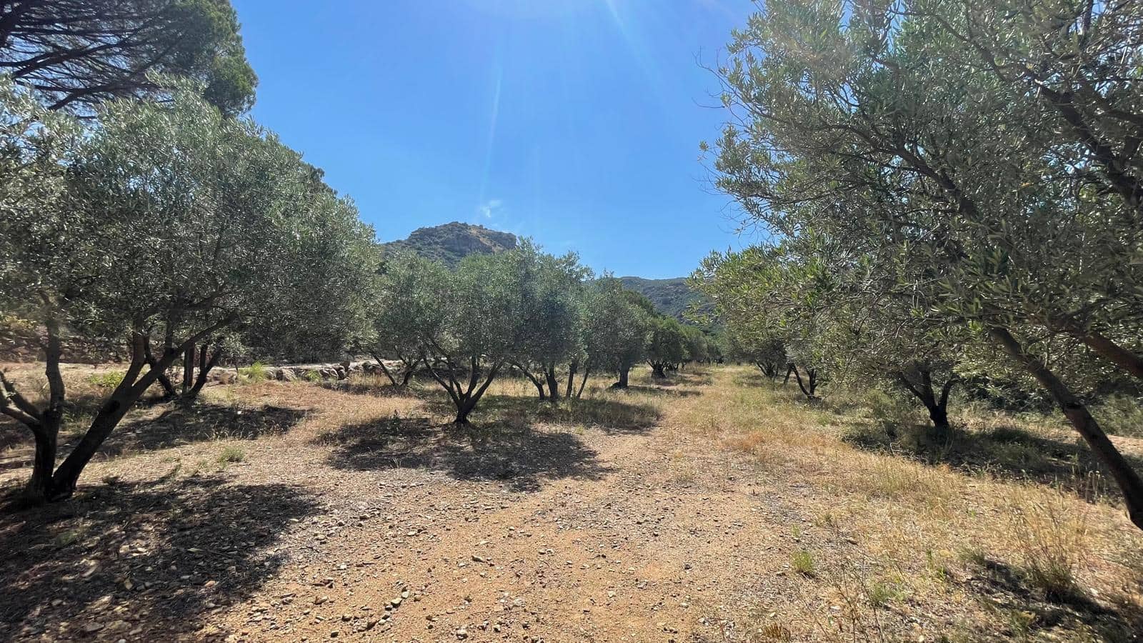 5 soveværelse Finca/Landehus til salg i Vilajuiga - € 595.000 (Ref: 9852233)