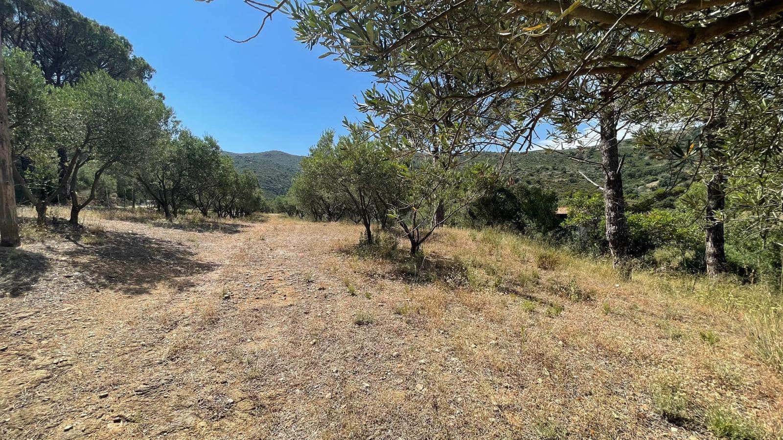 5 soveværelse Finca/Landehus til salg i Vilajuiga - € 595.000 (Ref: 9852233)