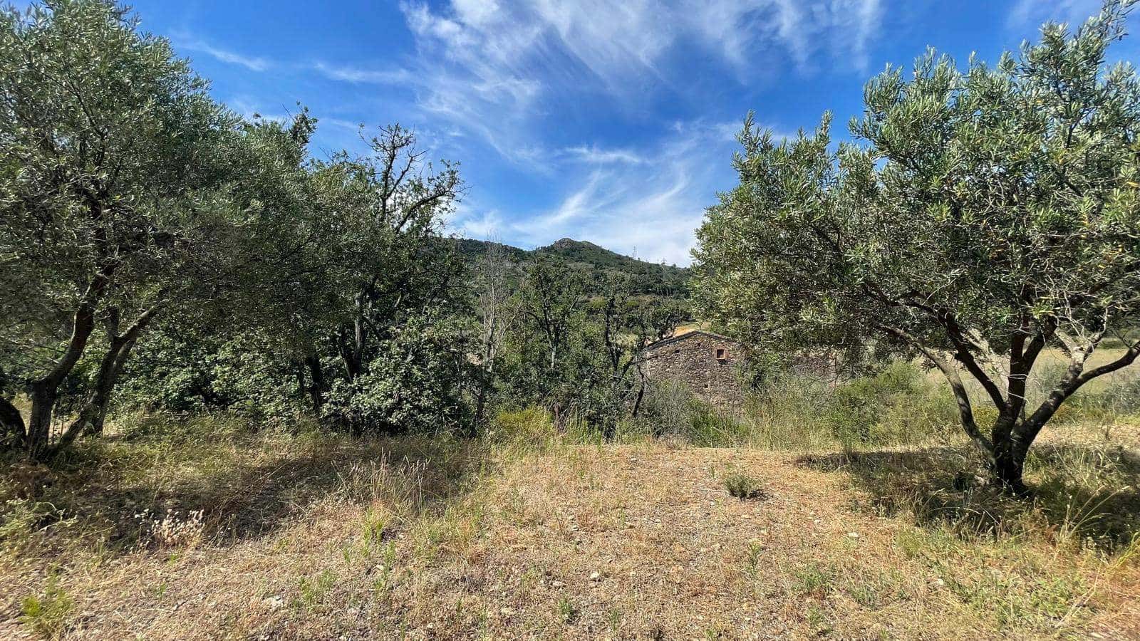 5 soveværelse Finca/Landehus til salg i Vilajuiga - € 595.000 (Ref: 9852233)
