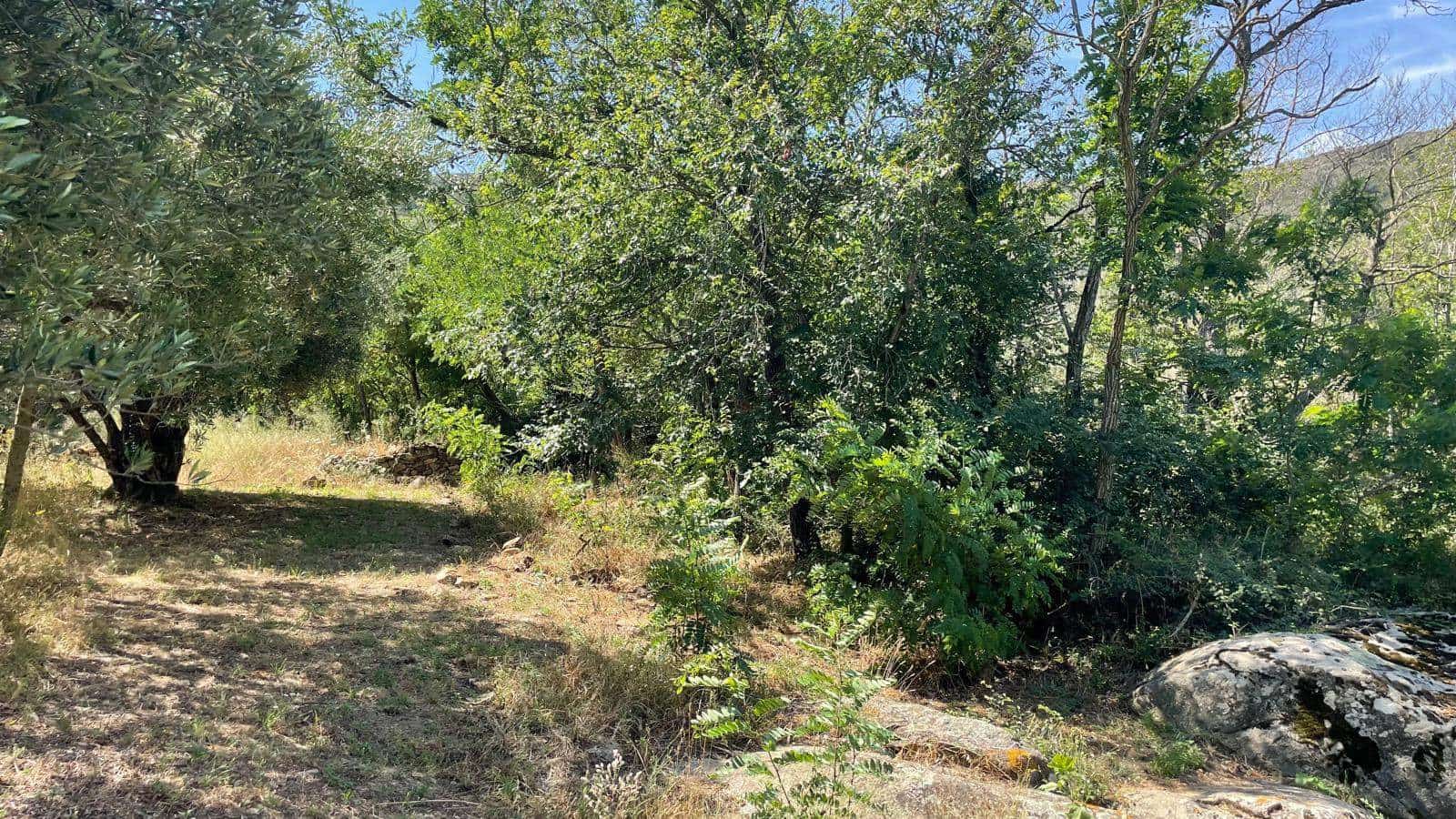 5 soveværelse Finca/Landehus til salg i Vilajuiga - € 595.000 (Ref: 9852233)