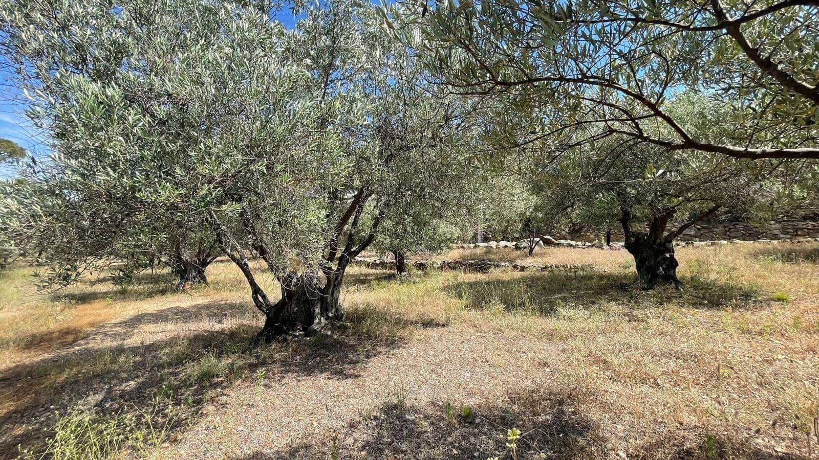 5 soveværelse Finca/Landehus til salg i Vilajuiga - € 595.000 (Ref: 9852233)