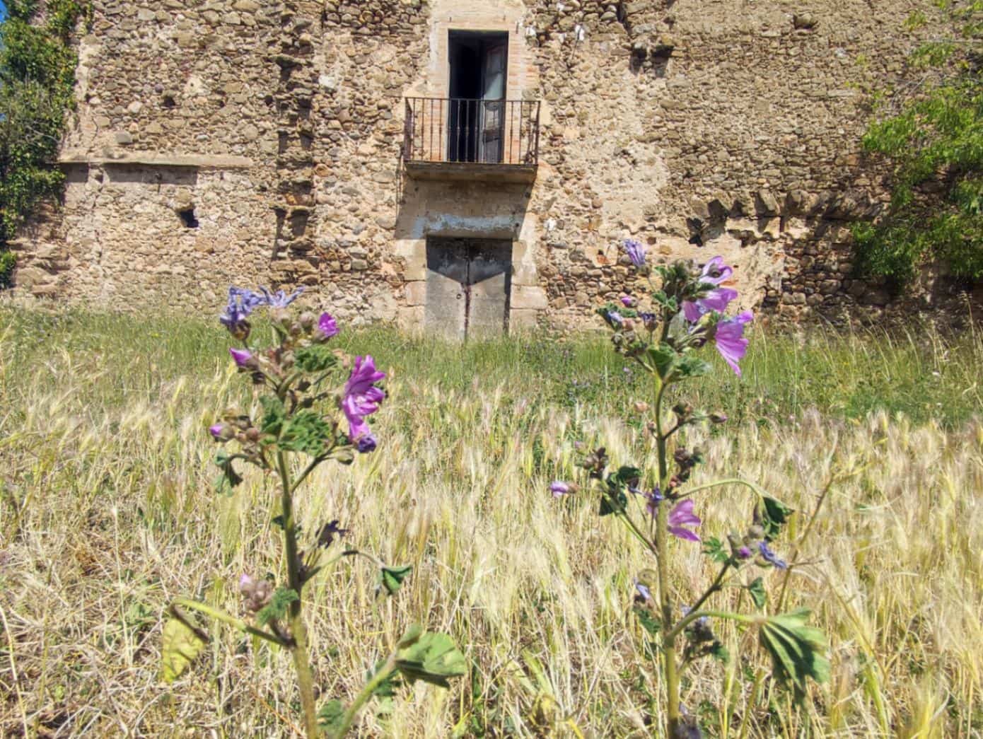 Finca/Landehus til salg i Corca - € 799.000 (Ref: 9852235)