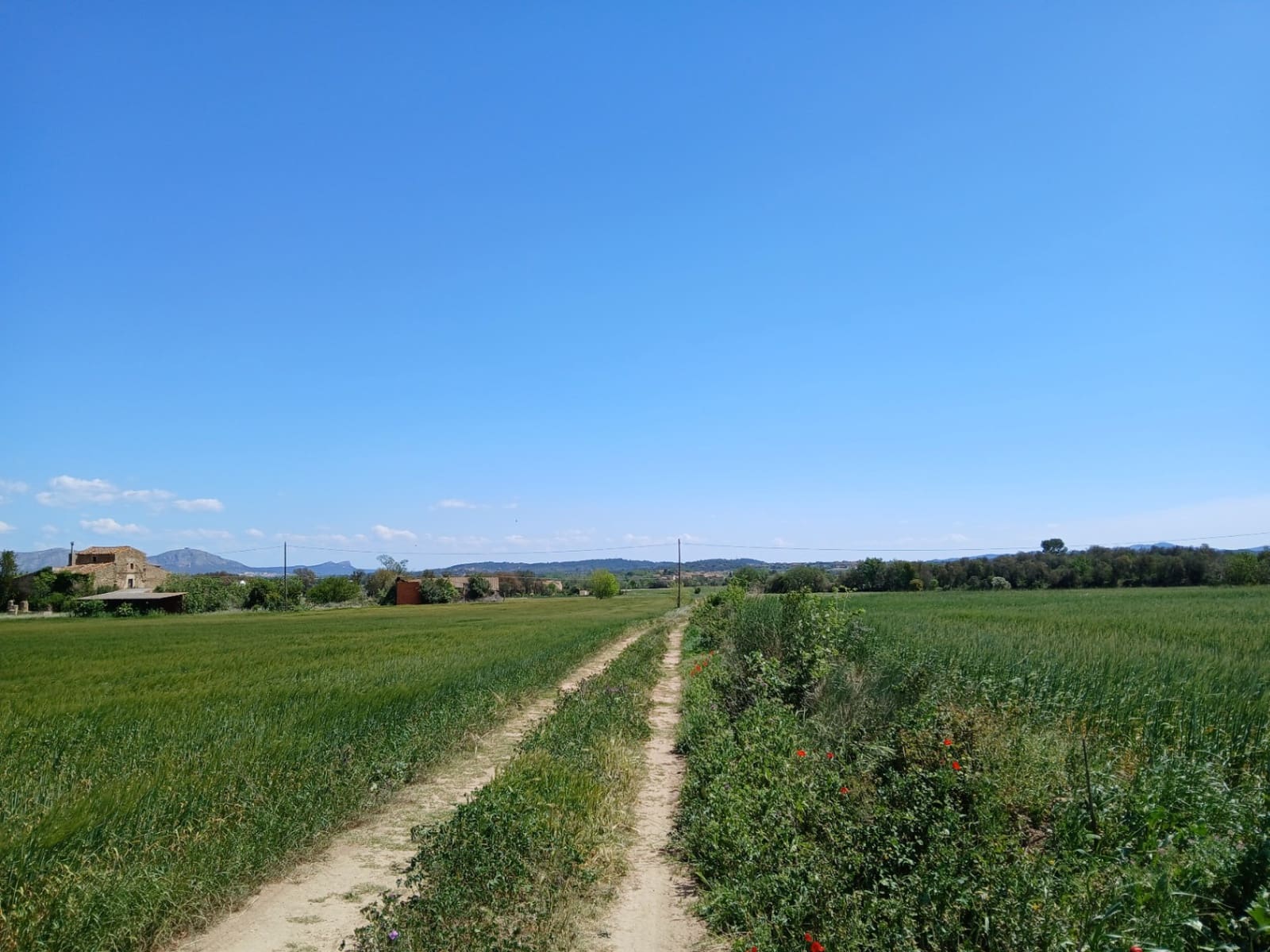 Finca/Landehus til salg i Corca - € 799.000 (Ref: 9852235)