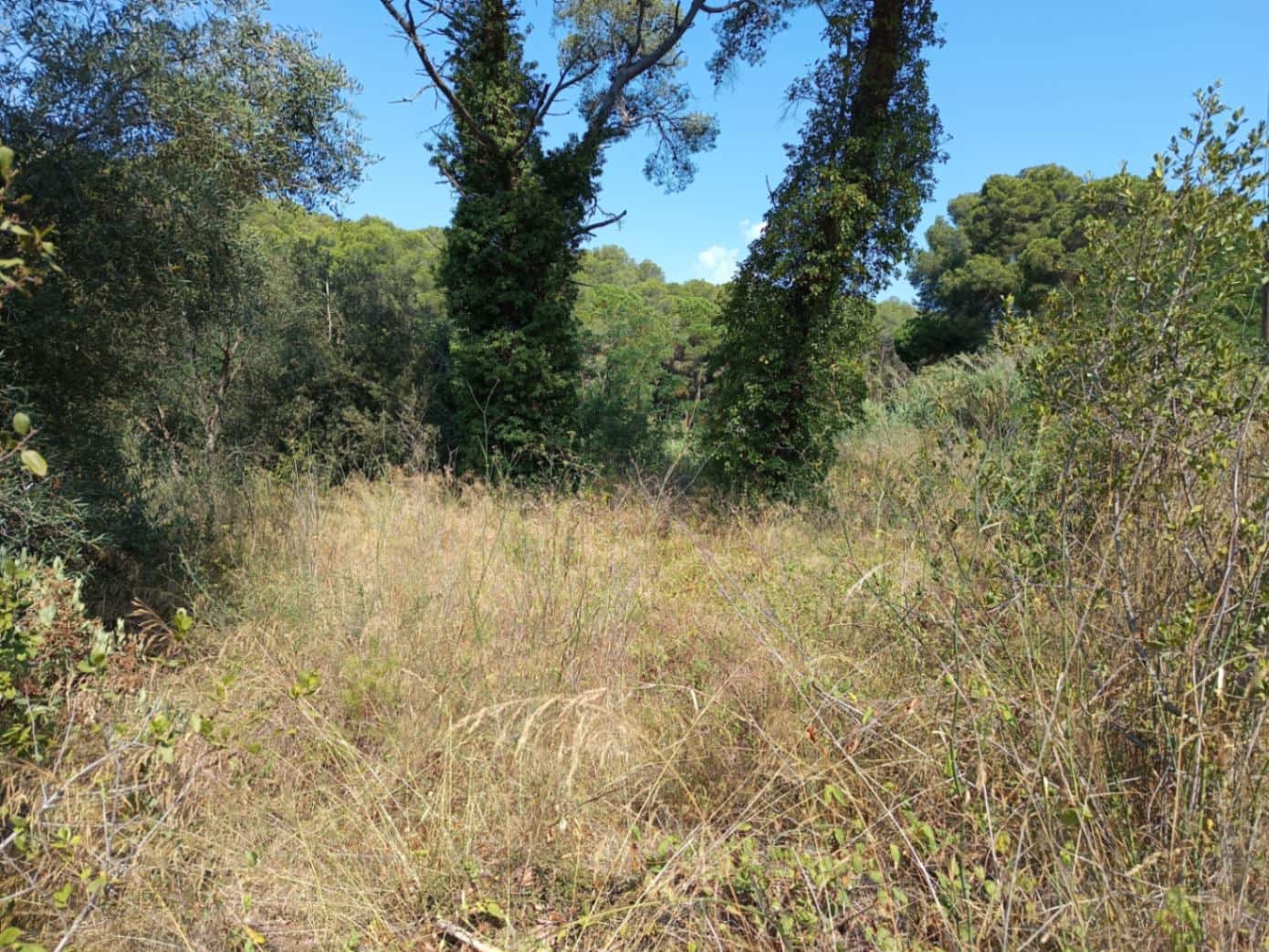 Terreno para Construção para venda em Tamariu - 315 000 € (Ref: 9852240)