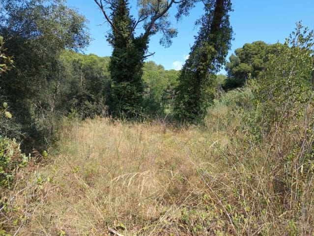 Terreno para Construção para venda em Tamariu, Palafrugell - 315 000 € (Ref: 9852240)