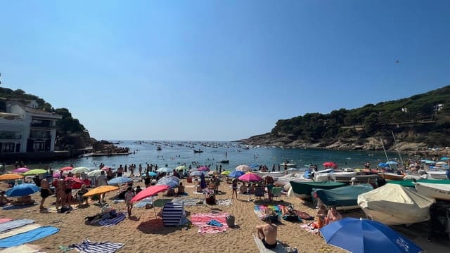 Terreno para Construção para venda em Tamariu, Palafrugell - 315 000 € (Ref: 9852240)