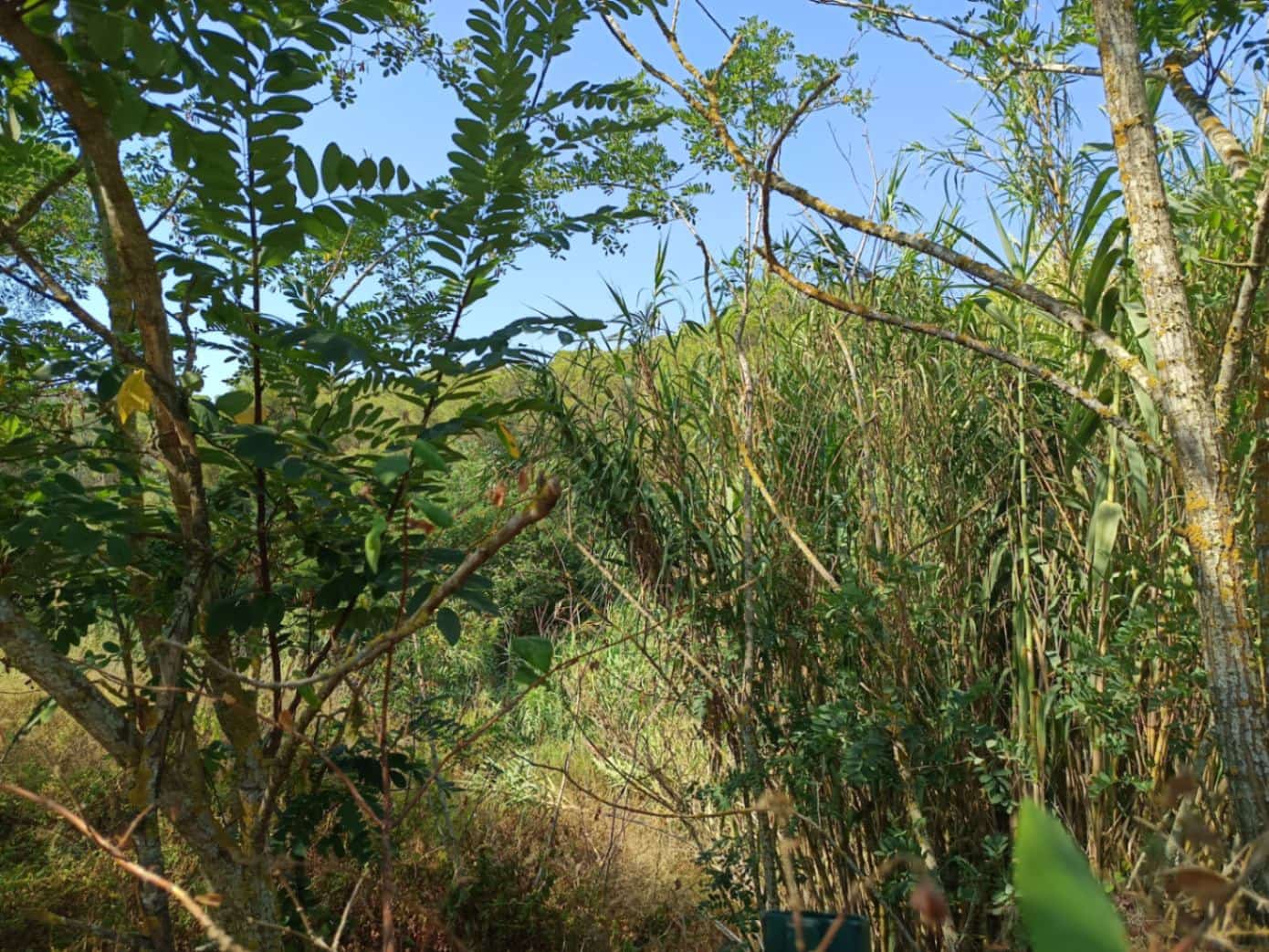 Terreno para Construção para venda em Tamariu - 315 000 € (Ref: 9852240)