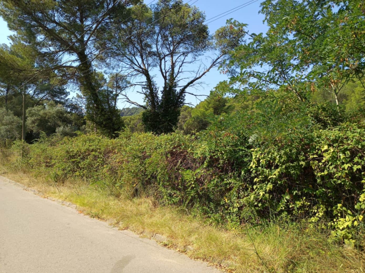 Terreno para Construção para venda em Tamariu - 315 000 € (Ref: 9852240)