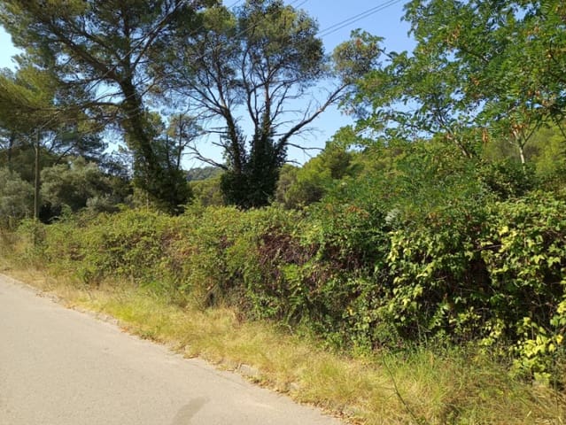 Terreno para Construção para venda em Tamariu, Palafrugell - 315 000 € (Ref: 9852240)