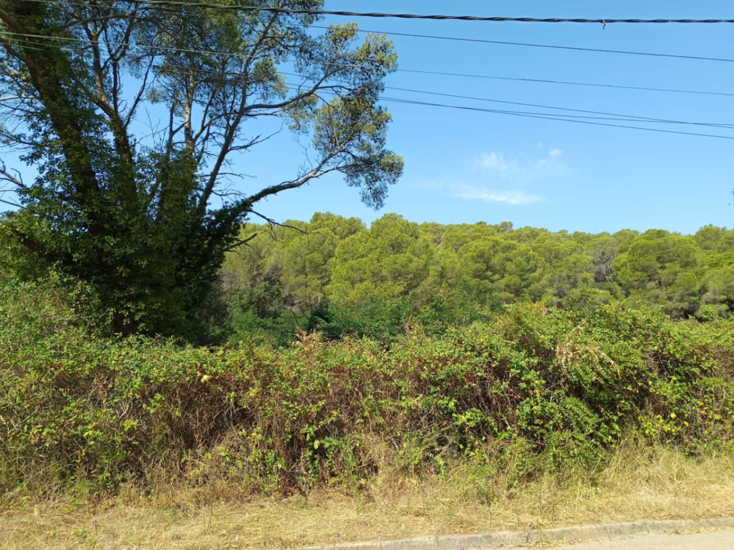 Terreno para Construção para venda em Tamariu - 315 000 € (Ref: 9852240)
