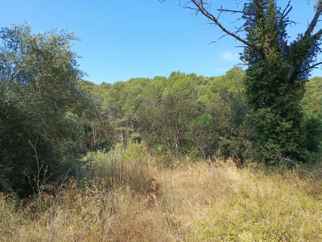 Terreno para Construção para venda em Tamariu, Palafrugell - 315 000 € (Ref: 9852240)