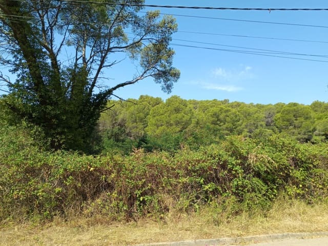 Terreno para Construção para venda em Tamariu, Palafrugell - 315 000 € (Ref: 9852240)