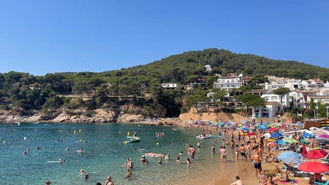 Terreno para Construção para venda em Tamariu, Palafrugell - 315 000 € (Ref: 9852240)