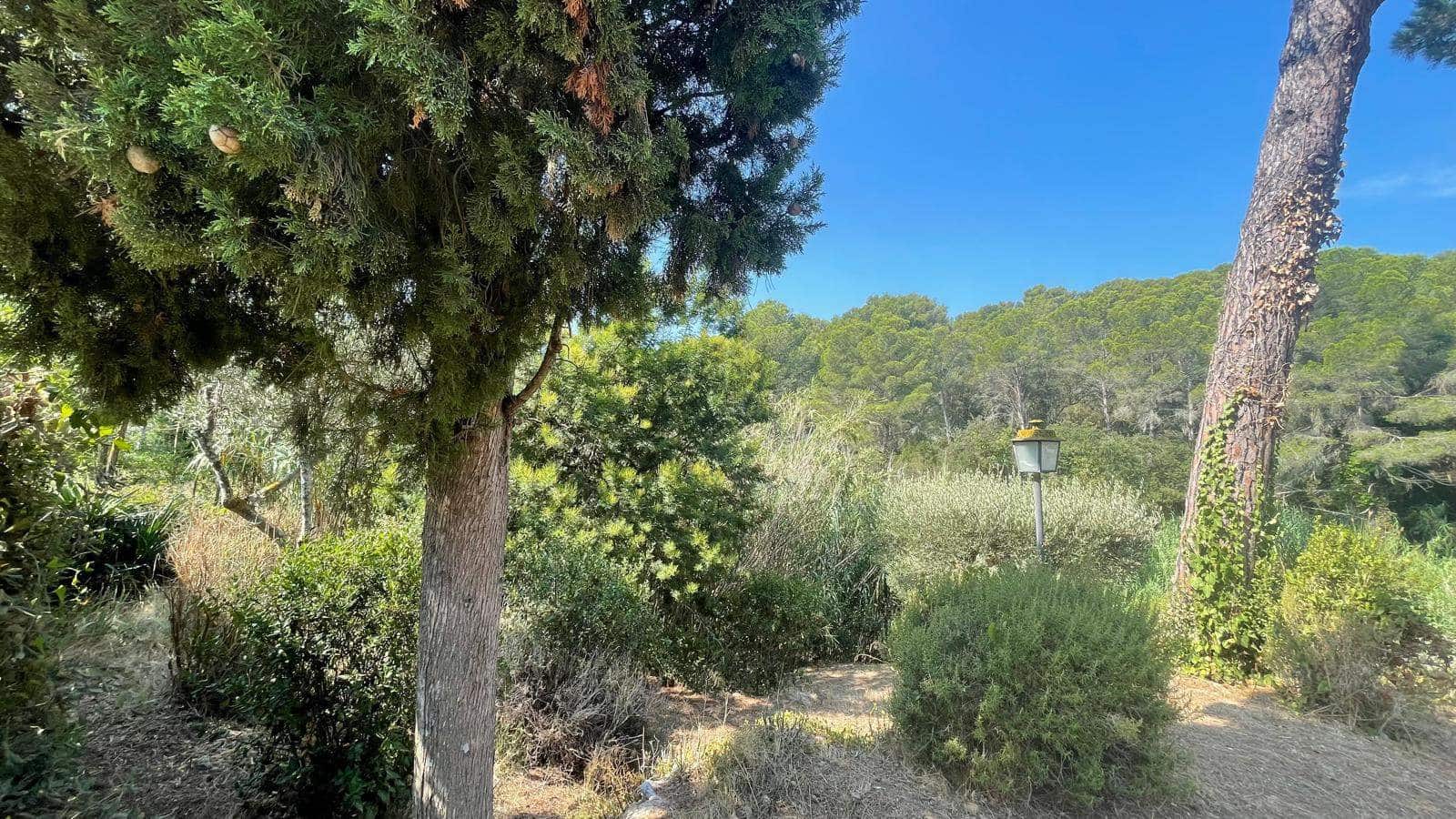 Terreno para Construção para venda em Tamariu - 315 000 € (Ref: 9852240)