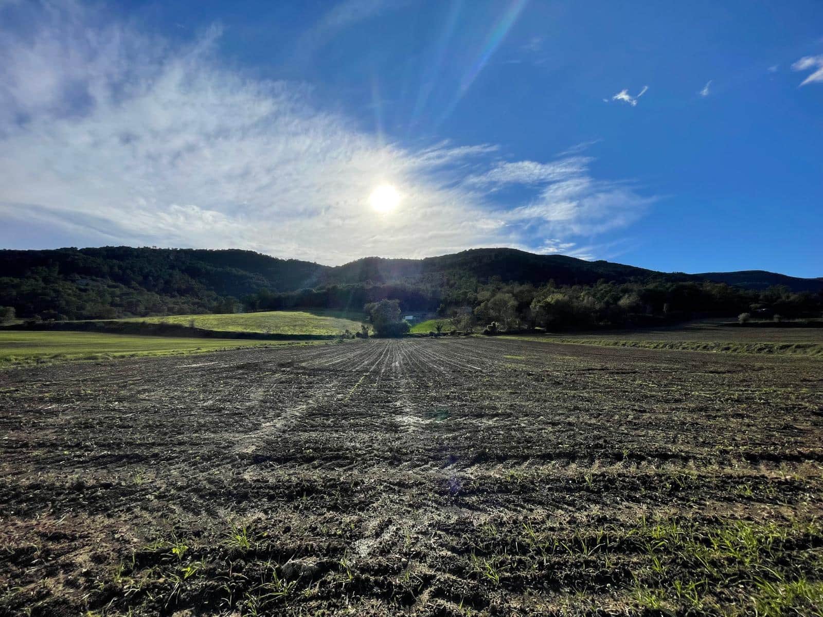 Finca/Country House for sale in Banyoles - € 750,000 (Ref: 9852241)