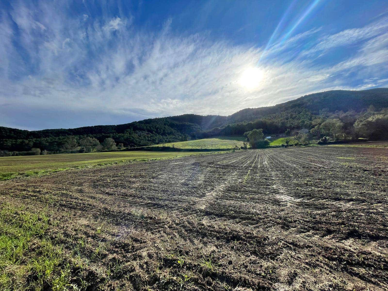 Finca/Country House for sale in Banyoles - € 750,000 (Ref: 9852241)