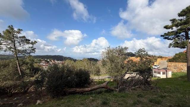 Area Edificabile in vendita in Begur - 2.600.000 € (Rif: 9852247)