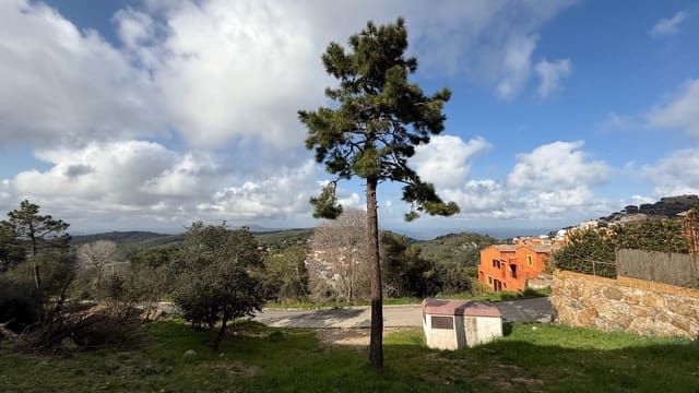 Area Edificabile in vendita in Begur - 2.600.000 € (Rif: 9852247)