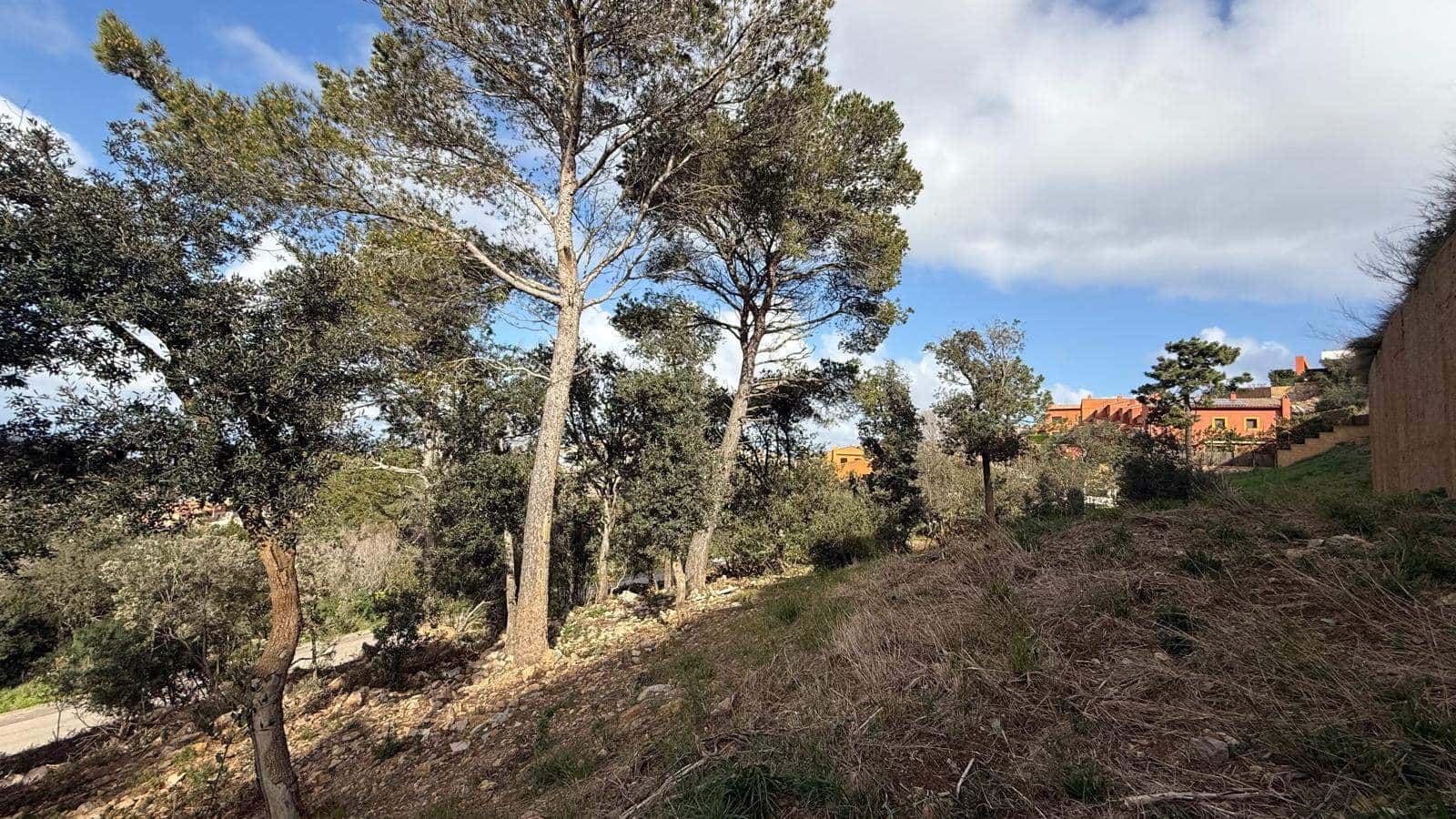 Byggegrund til salg i Begur - € 2.600.000 (Ref: 9852247)