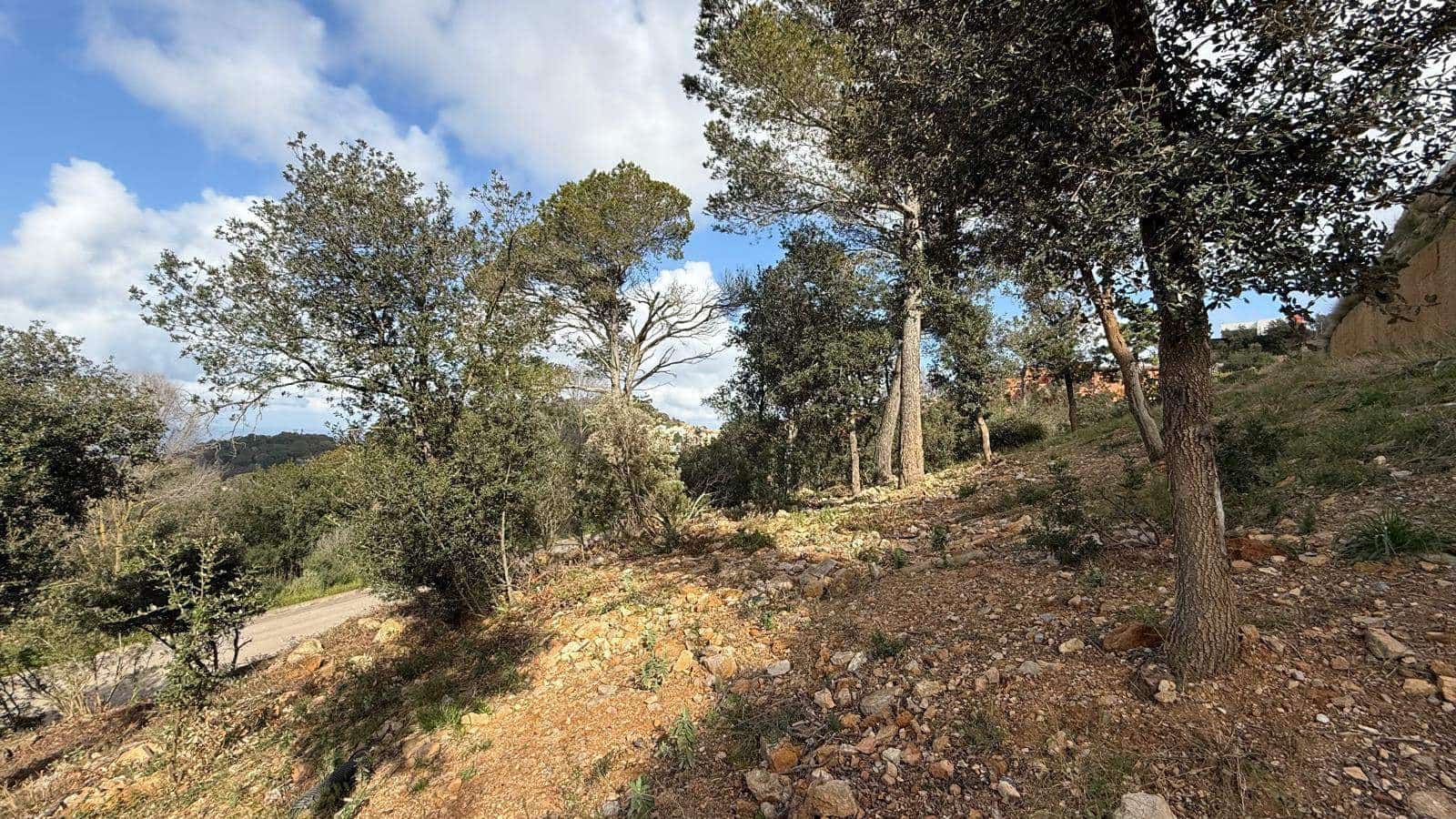 Byggegrund til salg i Begur - € 2.600.000 (Ref: 9852247)