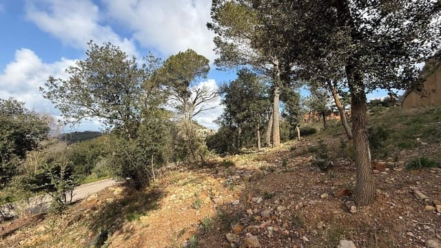 Area Edificabile in vendita in Begur - 2.600.000 € (Rif: 9852247)