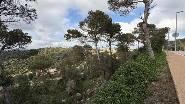 Area Edificabile in vendita in Begur - 1.500.000 € (Rif: 9852250)