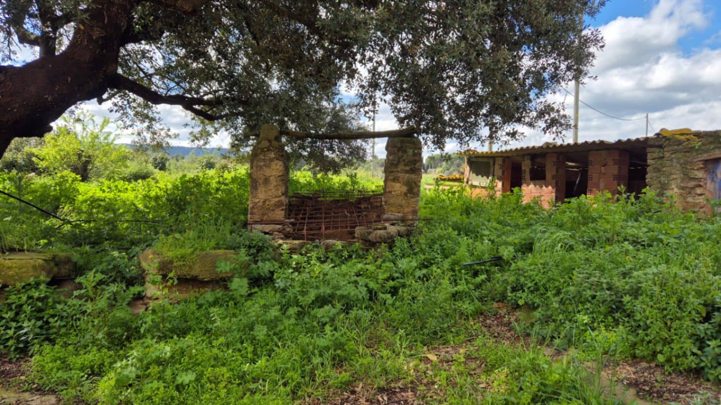 Finca/Hus på landet till salu i Forallac - 1 150 000 € (Ref: 9852251)