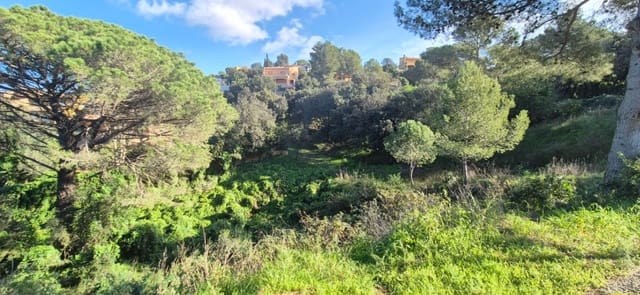 Area Edificabile in vendita in Begur - 120.000 € (Rif: 9852254)