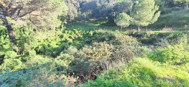 Area Edificabile in vendita in Begur - 120.000 € (Rif: 9852254)