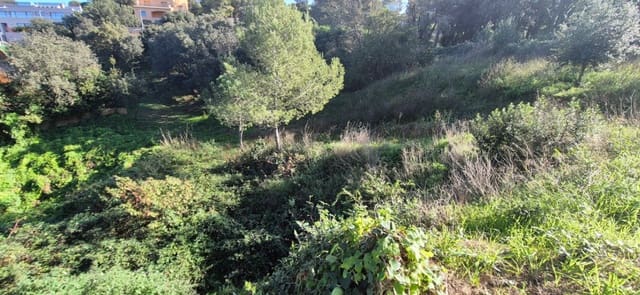 Area Edificabile in vendita in Begur - 120.000 € (Rif: 9852254)