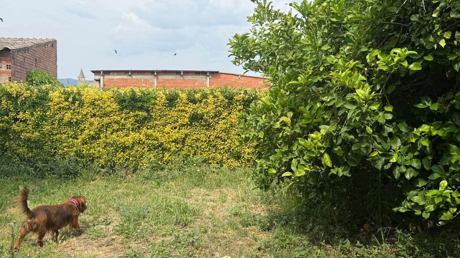 Finca/Casa Rural de 4 habitaciones en Cruïlles Monells i Sant Sadurní de I'Heura en venta - 650.000 € (Ref: 9889298)
