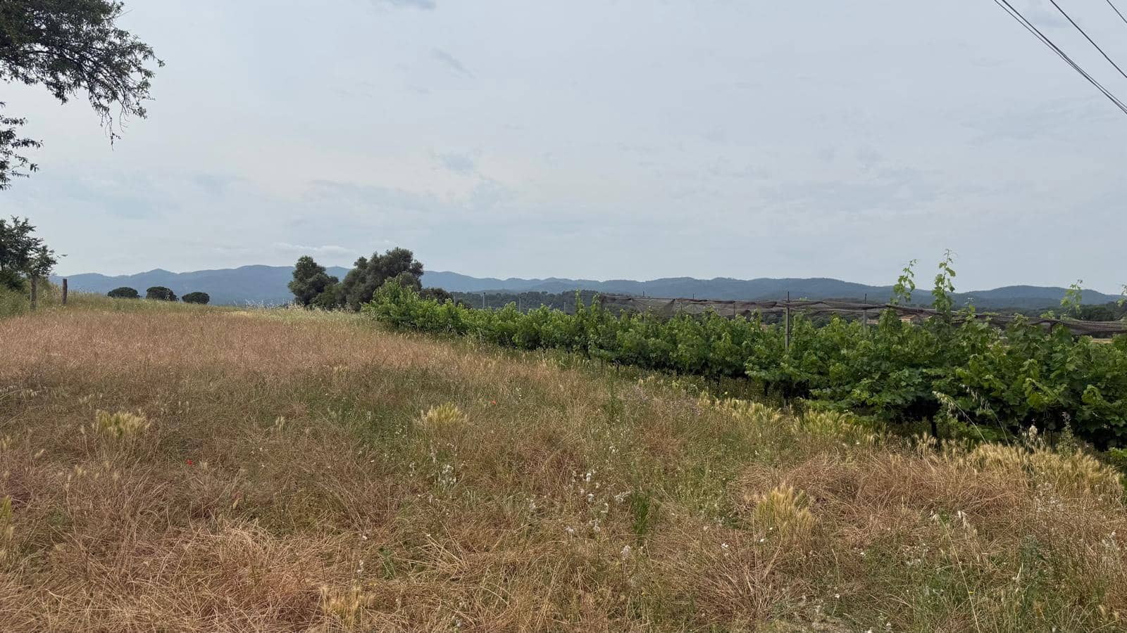 Finca/Casa Rural de 4 habitaciones en Cruïlles Monells i Sant Sadurní de I'Heura en venta - 650.000 € (Ref: 9889298)