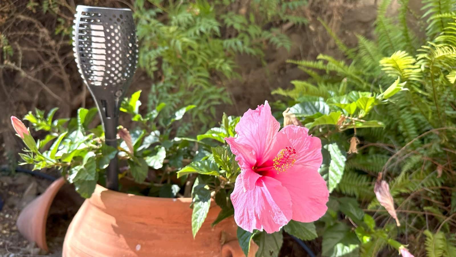 3 soverom Finca/Herregård til salgs i Arenas med svømmebasseng garasje - € 695 000 (Ref: 9626274)