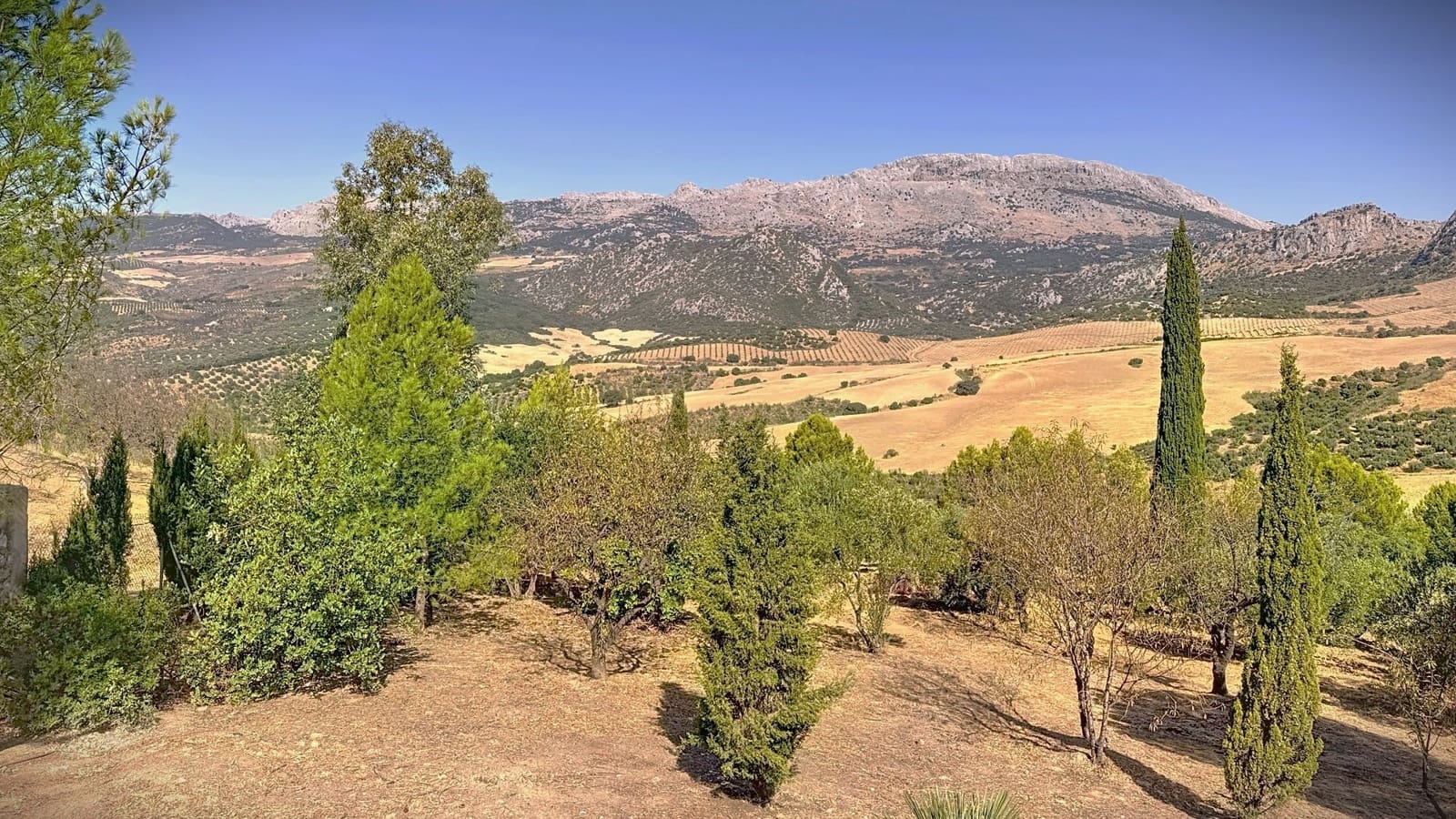 Finca/Casa Rural de 6 habitaciones en Riogordo en venta con piscina garaje - 1.200.000 € (Ref: 9626276)