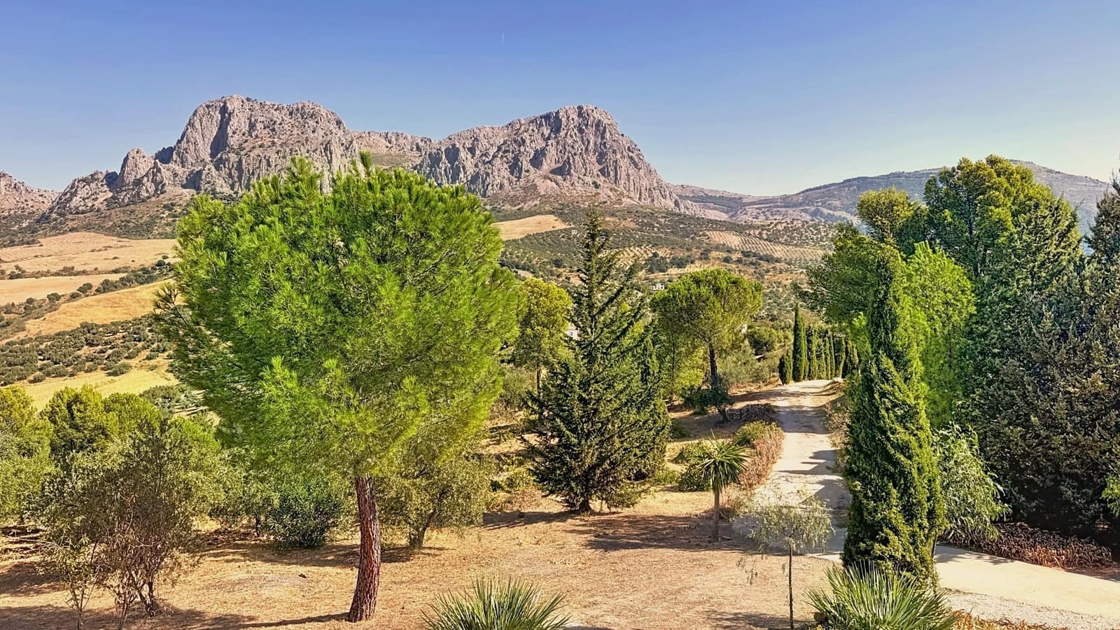 Finca/Casa Rural de 6 habitaciones en Riogordo en venta con piscina garaje - 1.200.000 € (Ref: 9626276)