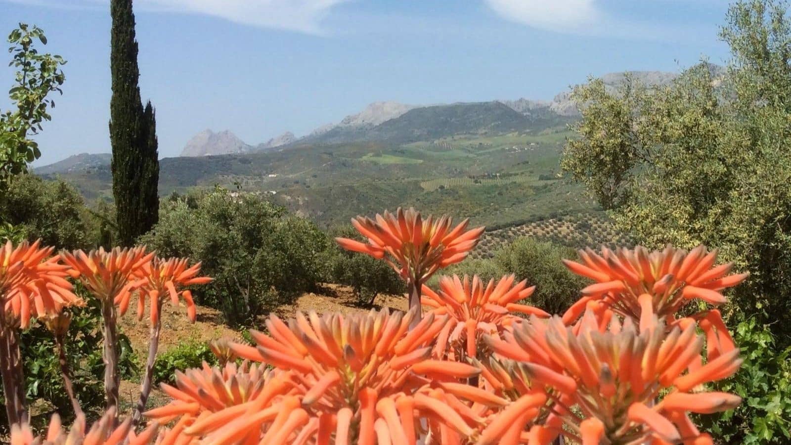 Finca/Casa Rural de 6 habitaciones en Riogordo en venta con piscina garaje - 1.200.000 € (Ref: 9626276)