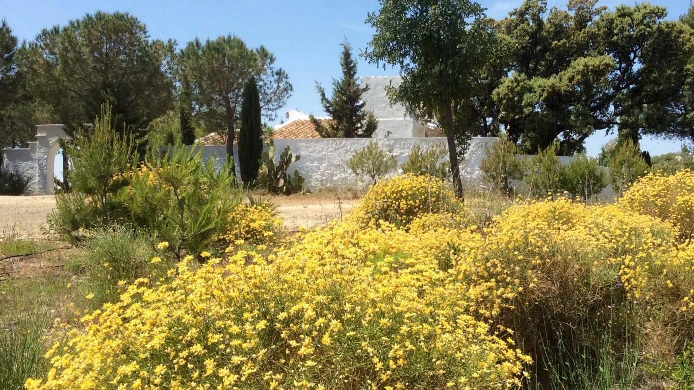 Finca/Casa Rural de 6 habitaciones en Riogordo en venta con piscina garaje - 1.200.000 € (Ref: 9626276)