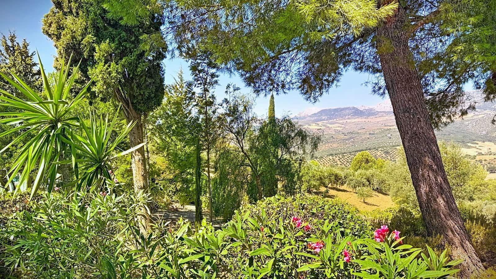 Finca/Casa Rural de 6 habitaciones en Riogordo en venta con piscina garaje - 1.200.000 € (Ref: 9626276)