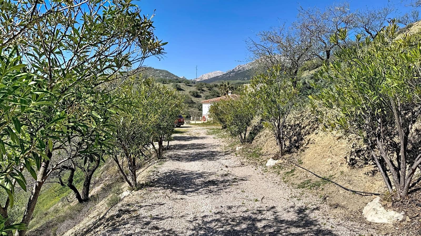 2 bedroom Finca/Country House for sale in Colmenar with pool garage - € 295,000 (Ref: 9626278)