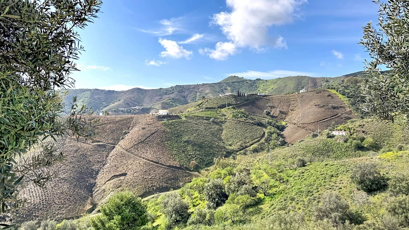 Finca/Casa Rural de 3 habitaciones en Almáchar en venta con piscina garaje - 349.000 € (Ref: 9676775)