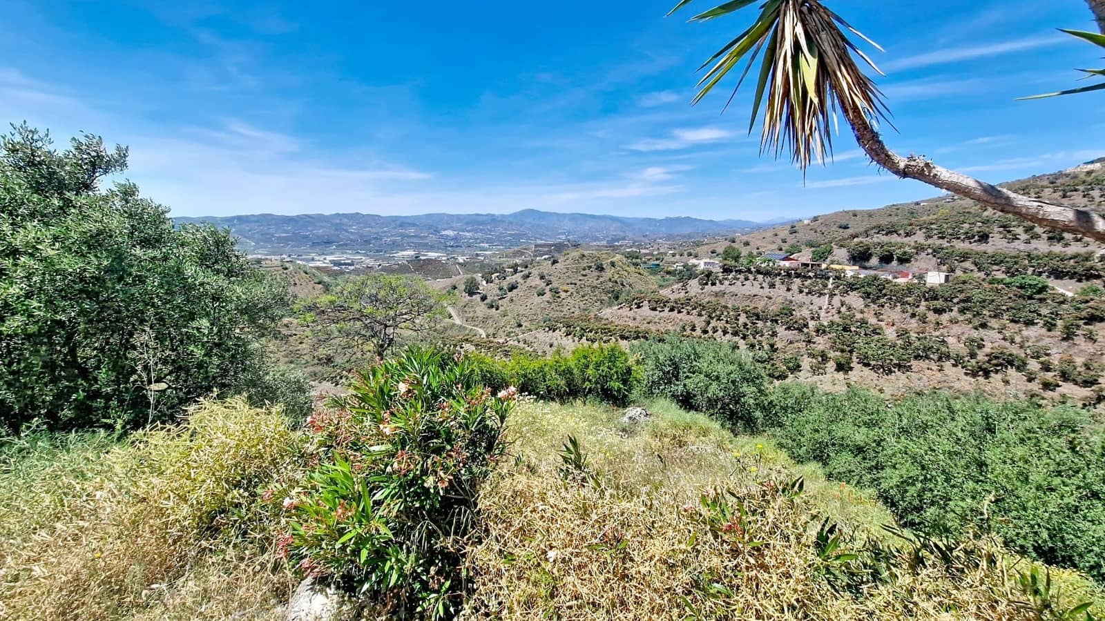 4 chambre Finca/Maison de Campagne à vendre à Arenas avec piscine garage - 635 000 € (Ref: 9943279)